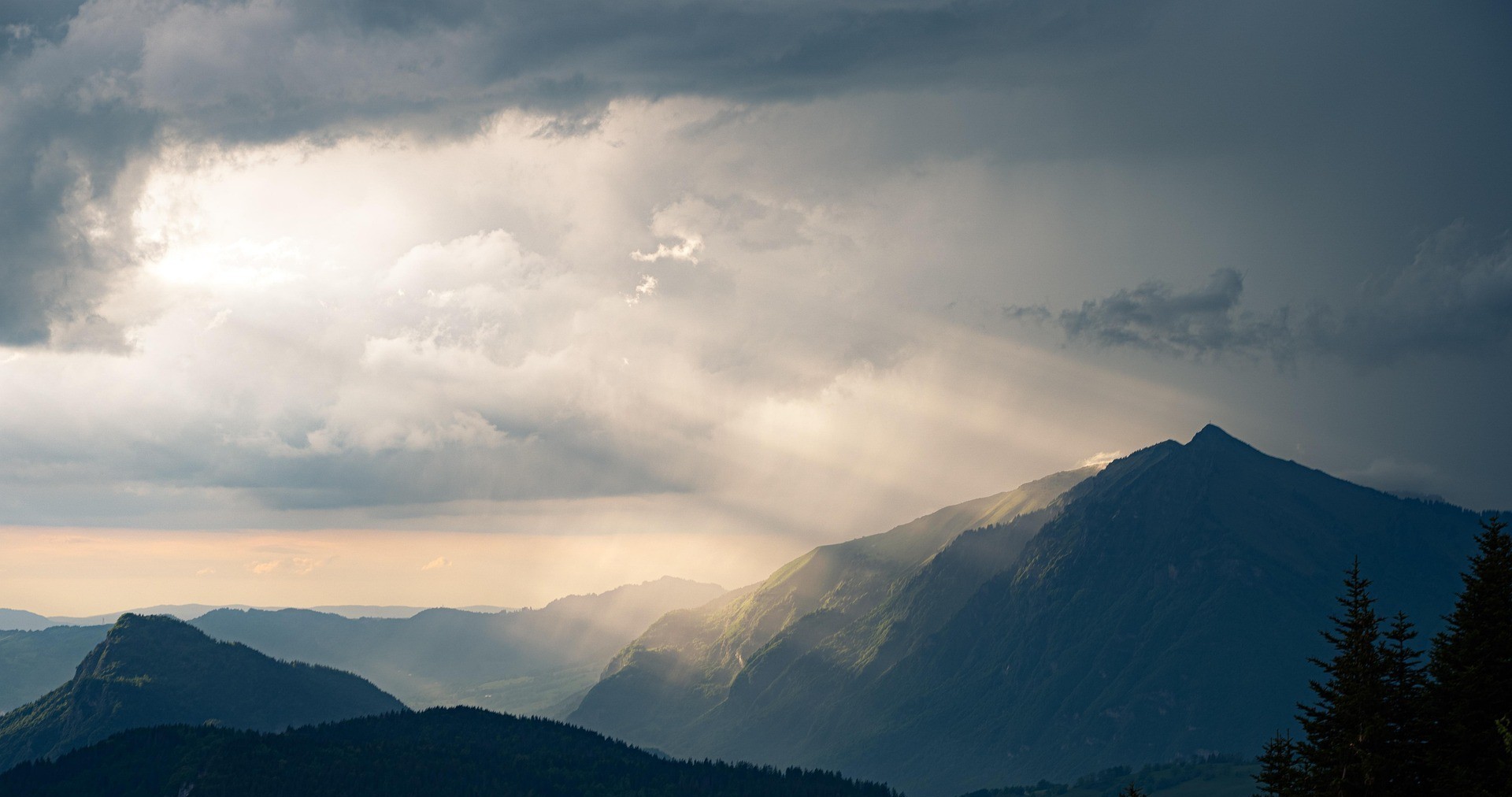 bild_background